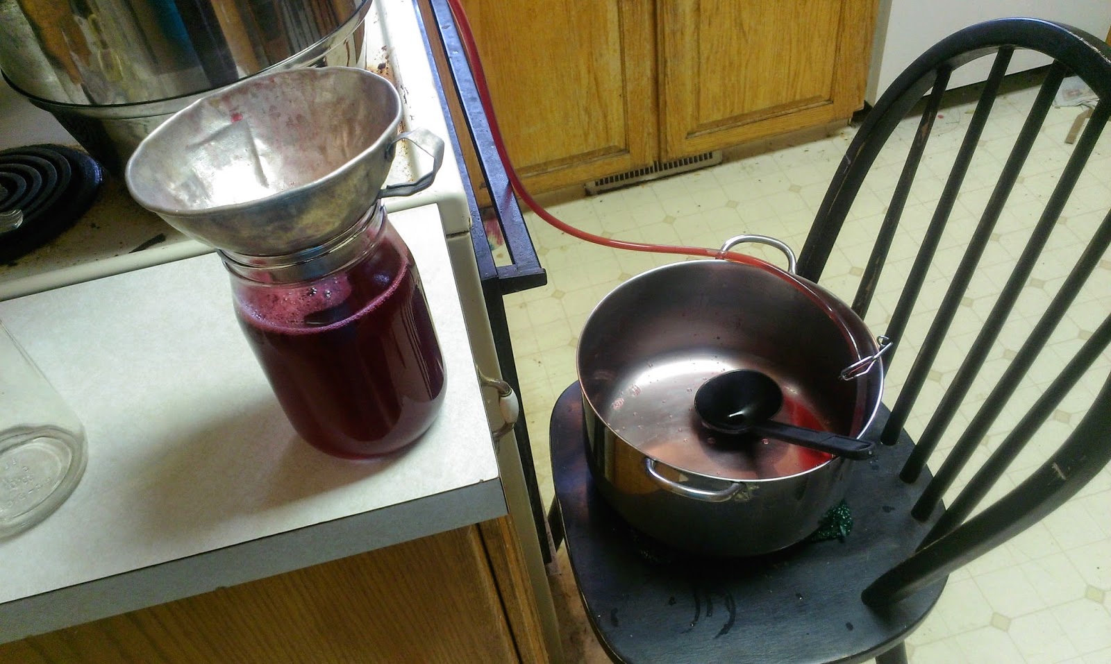 Doing Things Backwards Steam Juicing Plums For The First Time EASY 5